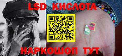 прущие грибы Краснознаменск