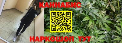 прущие грибы Краснознаменск
