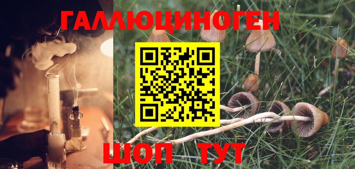 Клин  Псилоцибиновые грибы ЛСД  Вход с VPN  Галлюциногенные грибы Psilocybine cubensis 